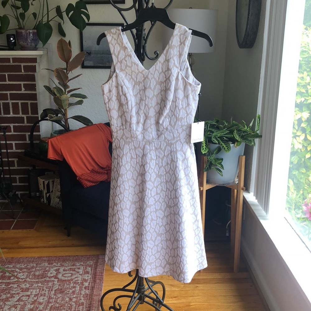 NWT Calvin Klein Dress